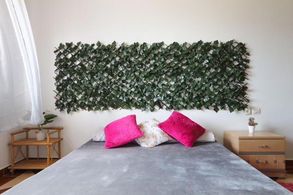 شفشاون Appartement Lina المظهر الخارجي الصورة